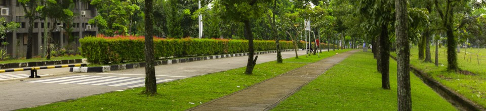 Universitas Andalas dipenuhi dengan pepohonan yang rindang dan hijau